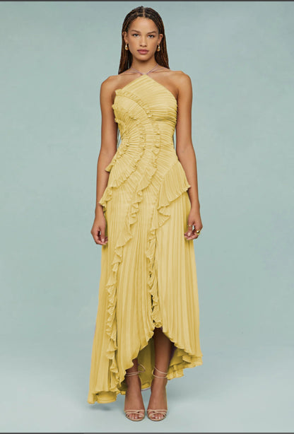 Ruffled Pleated Halterneck Dress